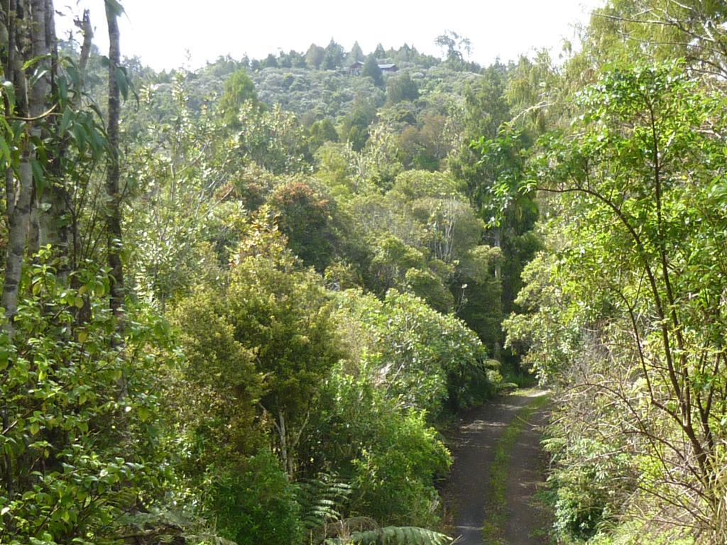 Fern Ridge Hideaway Villa Victoria Valley Exterior photo